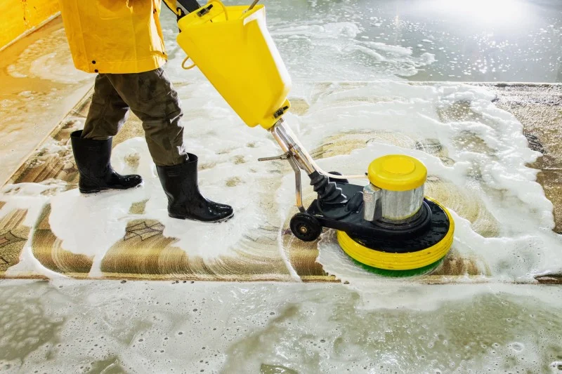 Professional Area Rug Cleaning in Valencia, CA
